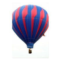 Balloon Flight posters