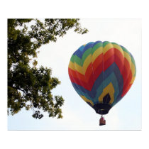 Balloon Flight posters