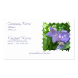 Balloon Flower Business Card
