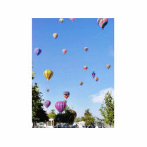 Balloons Sky Balloon Feastival photo sculptures