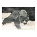 Baloo Poster