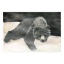Baloo posters