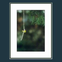 Baloon postcards