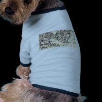 Balsall Heath pet clothing by madmerv Balsall Heath pet clothing