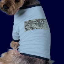 Balsall Heath pet clothing