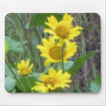 Balsam Root Bouquet Mousepad mousepads