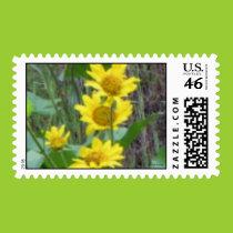 Balsam Root Bouquet Postage stamps