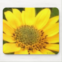 Balsam Root Mousepad