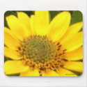 Balsam Root Mousepad mousepad