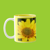 Balsam Root Mug mugs