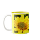Balsam Root Mug