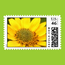 Balsam Root Postage stamps