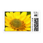 Balsam Root Postage