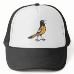 Baltimore Oriole Bird Mesh Hat