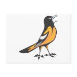 Baltimore Oriole Bird Post Card