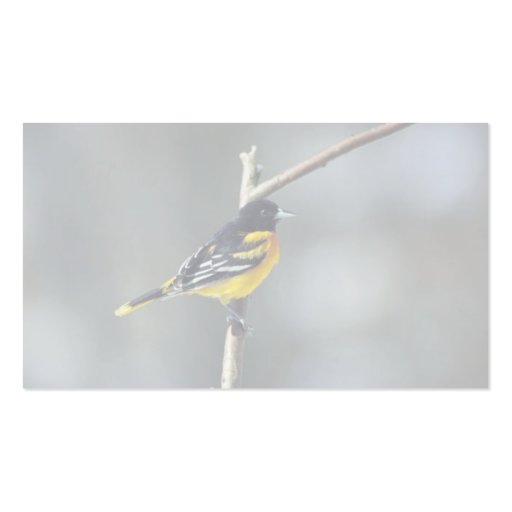 Baltimore Oriole Business Card Template (back side)