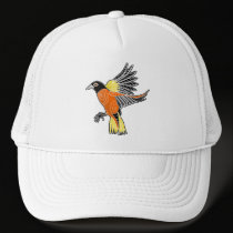 baltimore oriole hats