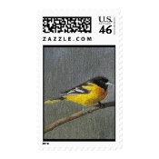 Baltimore Oriole Postage Stamps stamp