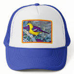 Baltimore Oriole Trucker Hats