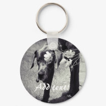 Balu hinter Cosmea keychains