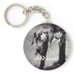 Balu hinter Cosmea keychains