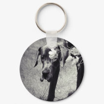 Balu hinter Cosmea keychains