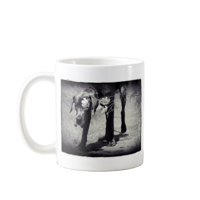 Balu hinter Cosmea Mug by doggenhaus