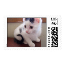 bam bam cute Stamp
