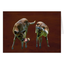 Bambi and deer cards