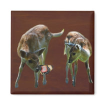 Bambi and deer fridge magnets
