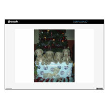 Bambi and Rockys Pups DOB 31 Oct 2009 003.jpg Skin For 15" Laptop