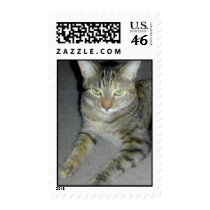 Bambi Cat Stamps