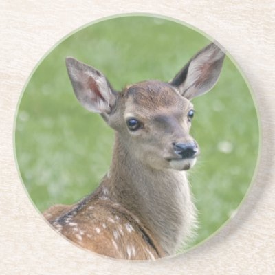 Bambi Coaster by Marmotta