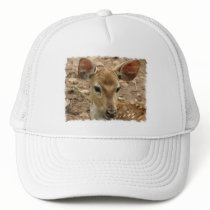 Bambi Deer Baseball Cap Hat