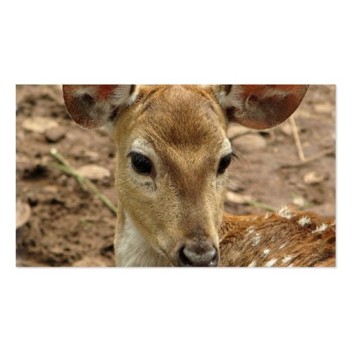 Bambi Deer Business Card (back side)
