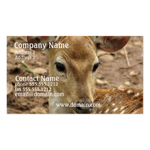 Bambi Deer Business Card (front side)