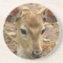 Bambi Deer Coasters