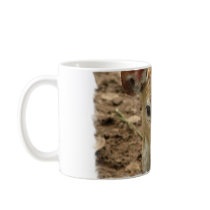 Bambi Deer Coffee Cup Coffee Mug