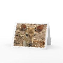 Bambi Deer Greeting Card