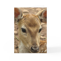 Bambi Deer Greeting Card