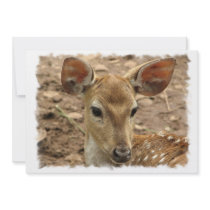 Bambi Deer Invitation