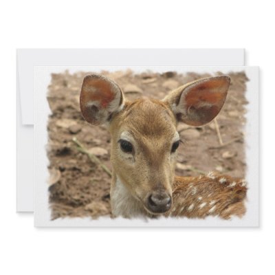 Bambi Deer Invitation by WildlifeAnimals