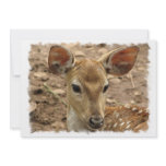 Bambi Deer Invitation