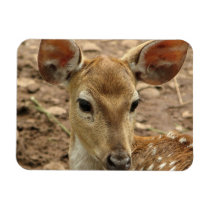 Bambi Deer Premium Magnet