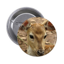Bambi Deer Round Button