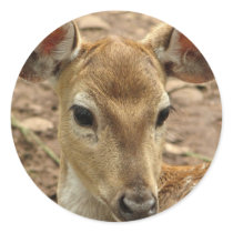 Bambi Deer Sticker