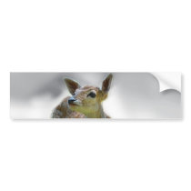 Bambi deers curiosity bumper stickers