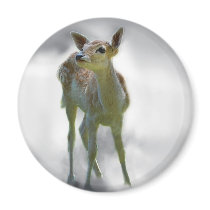 Bambi deers curiosity magnets