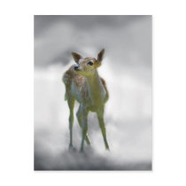 Bambi deers curiosity post card