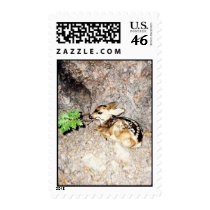Bambi Postage Stamps